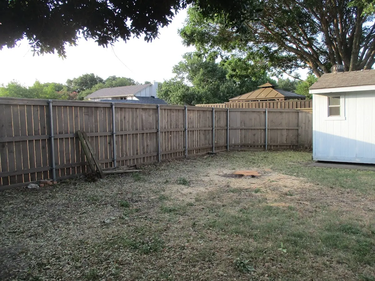 Cleared yard after professional tree removal in Mayhill